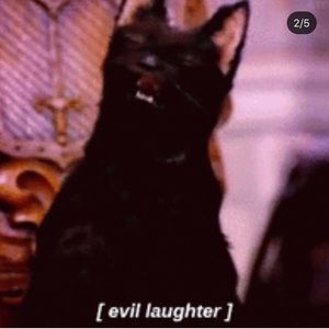 Meet your Posher, Madchen